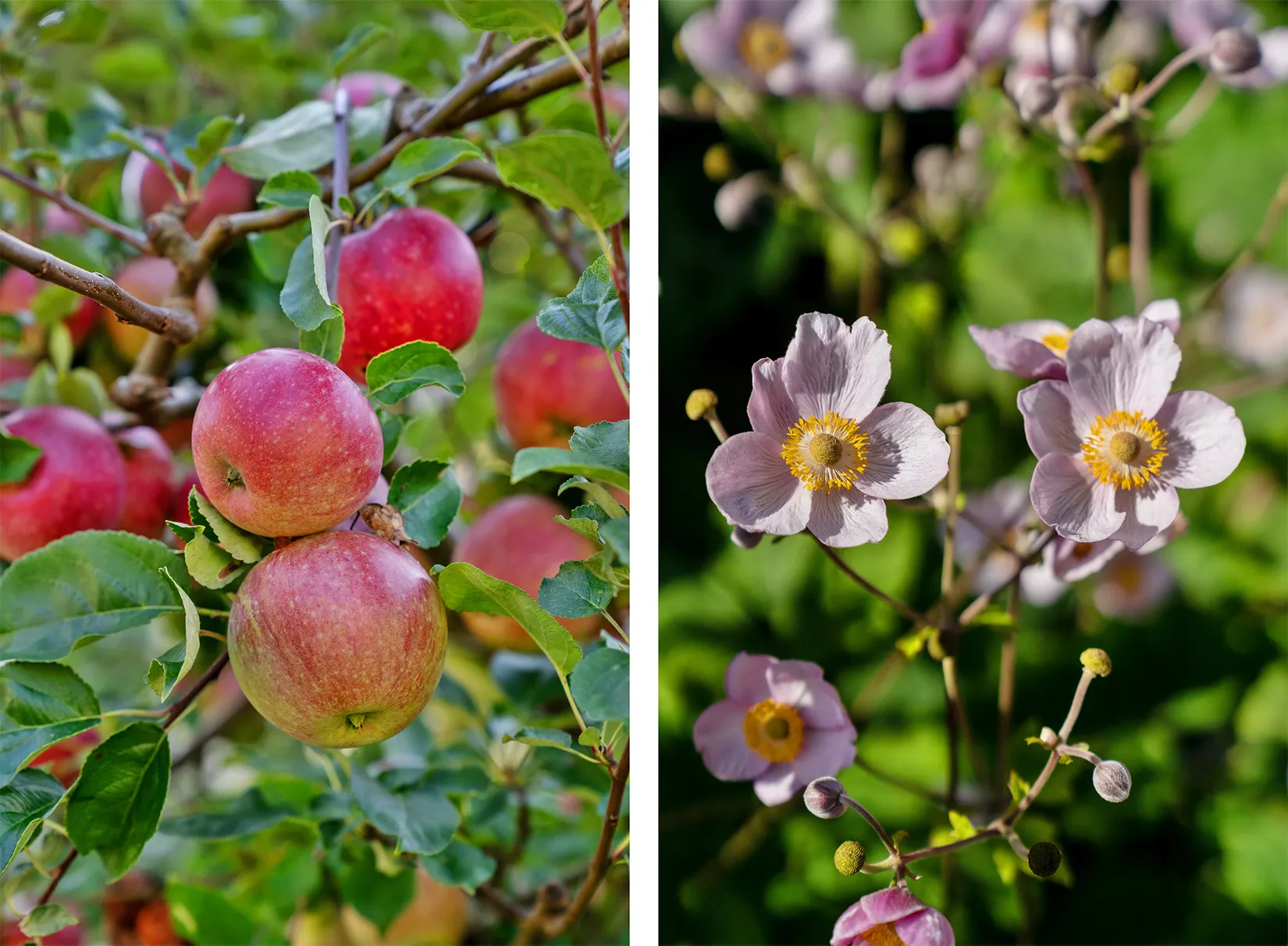 Villa, Stockholmsvägen 88, Gamla Enskede, Stockholm