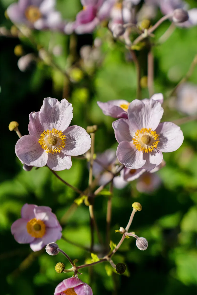 Villa, Stockholmsvägen 88, Gamla Enskede, Stockholm