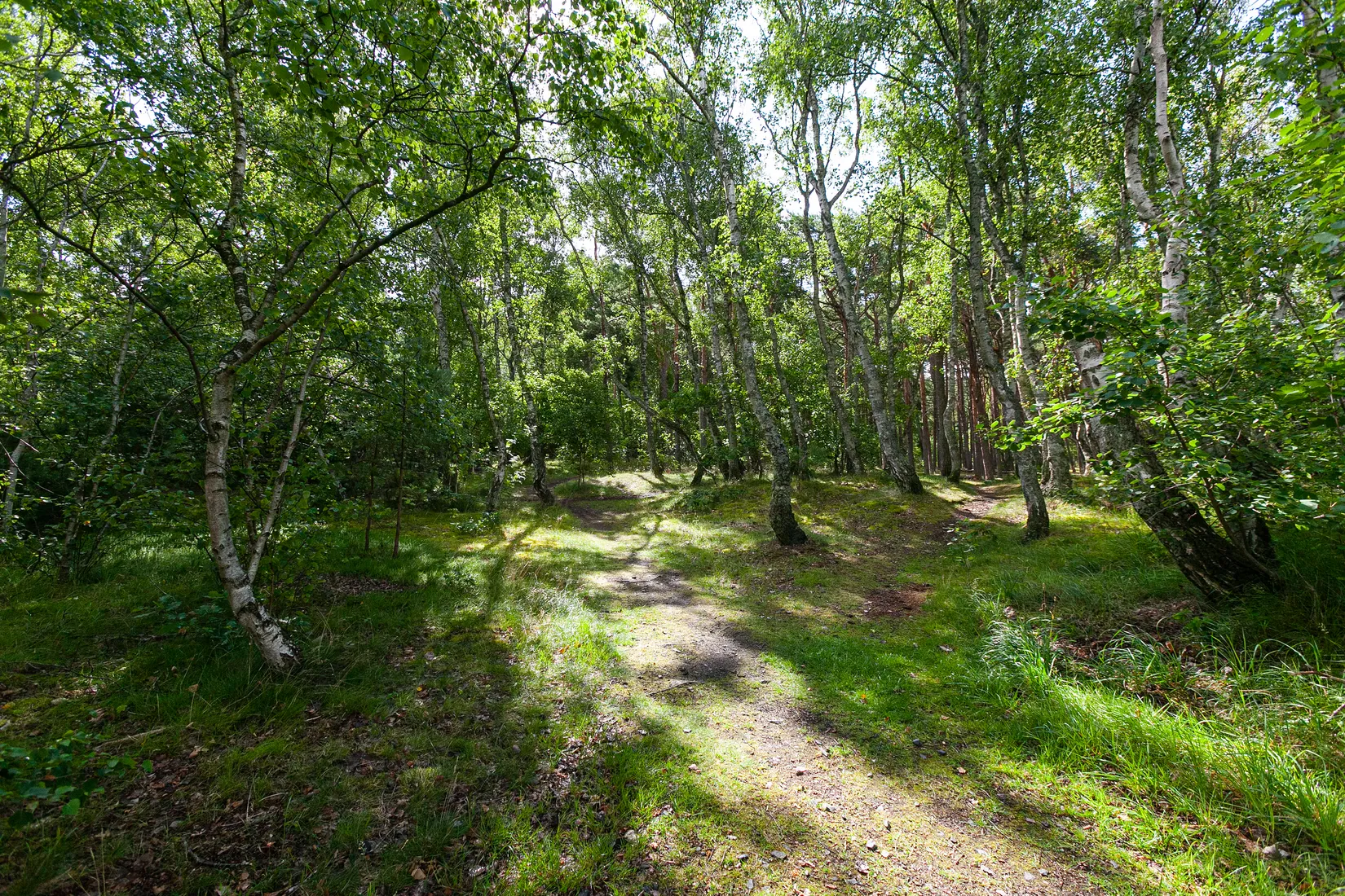 Villa, Lövstigen 4, Höganäs