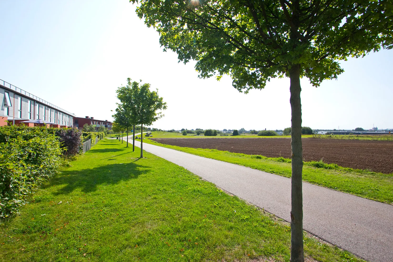 Villa, Radhus, Sven tveskäggs gata 56, Raus, Helsingborg
