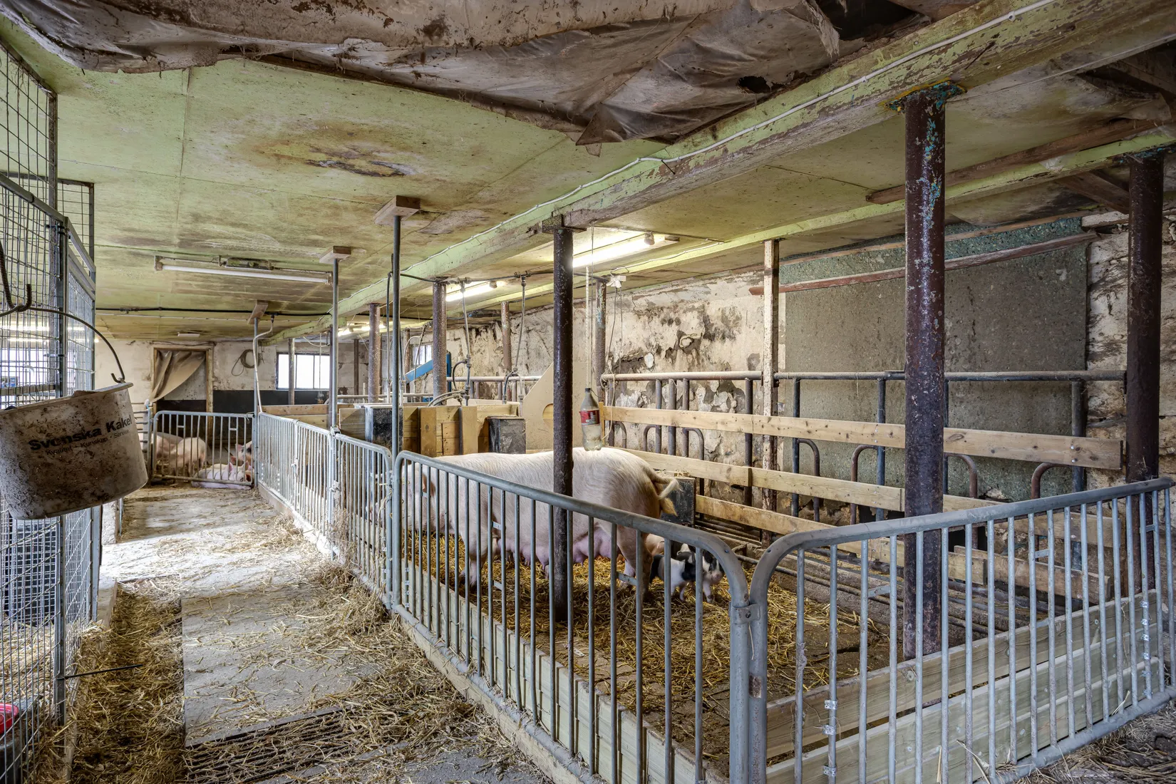 Gård/Skog, Sjöbol Wilhelmsgården 1, Torup, Hylte