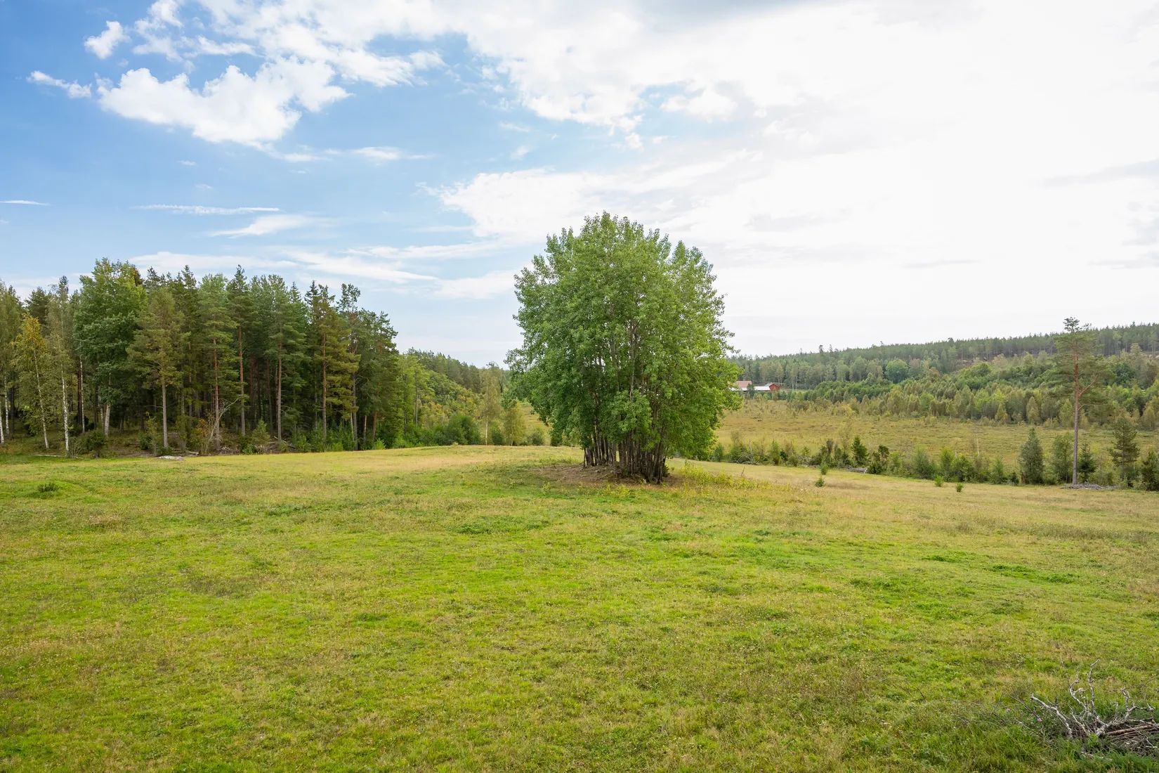 Gård/Skog, Vrångsjö Änglund, Kvarsebo, Norrköping
