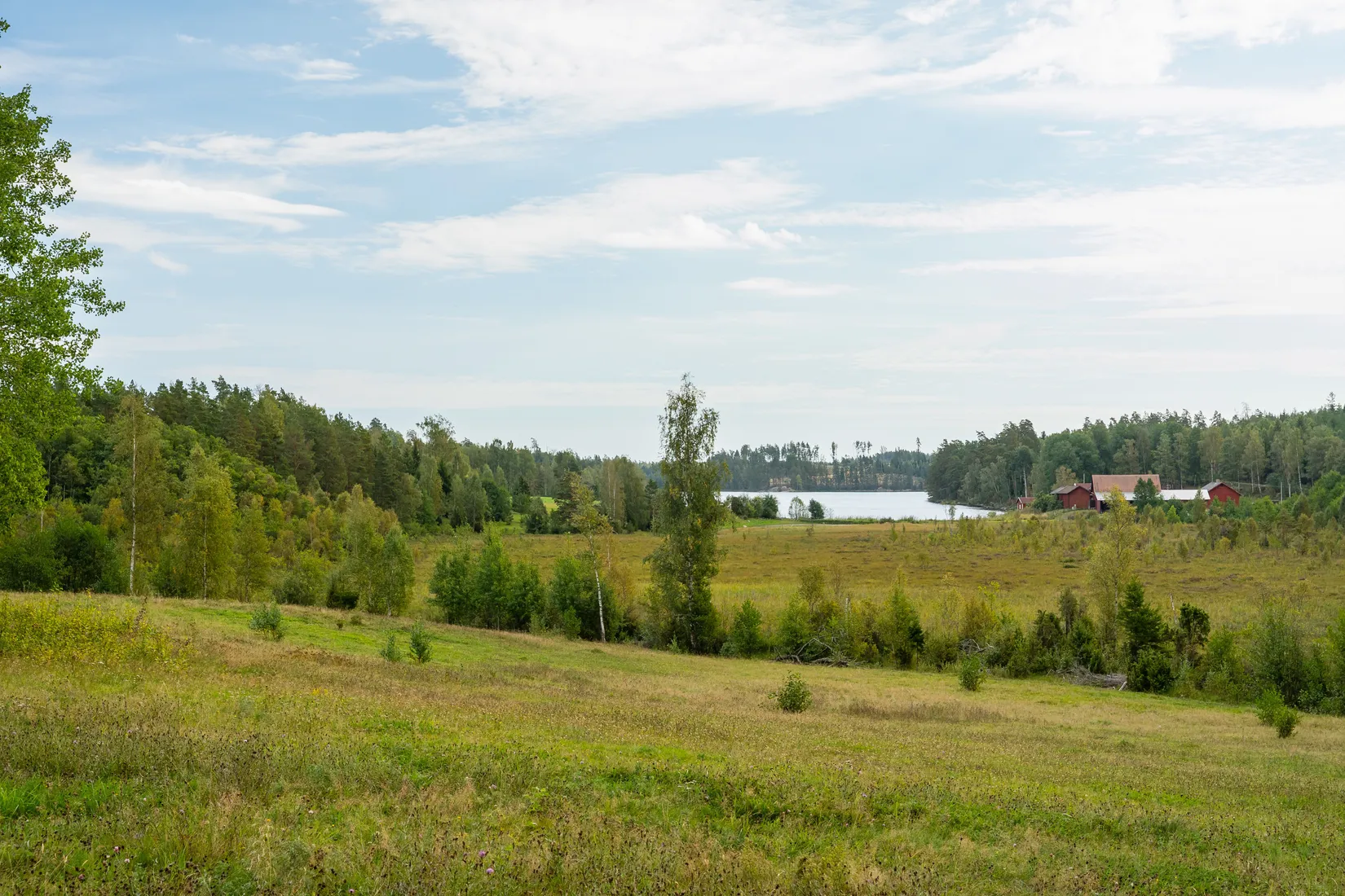 Gård/Skog, Vrångsjö Änglund, Kvarsebo, Norrköping