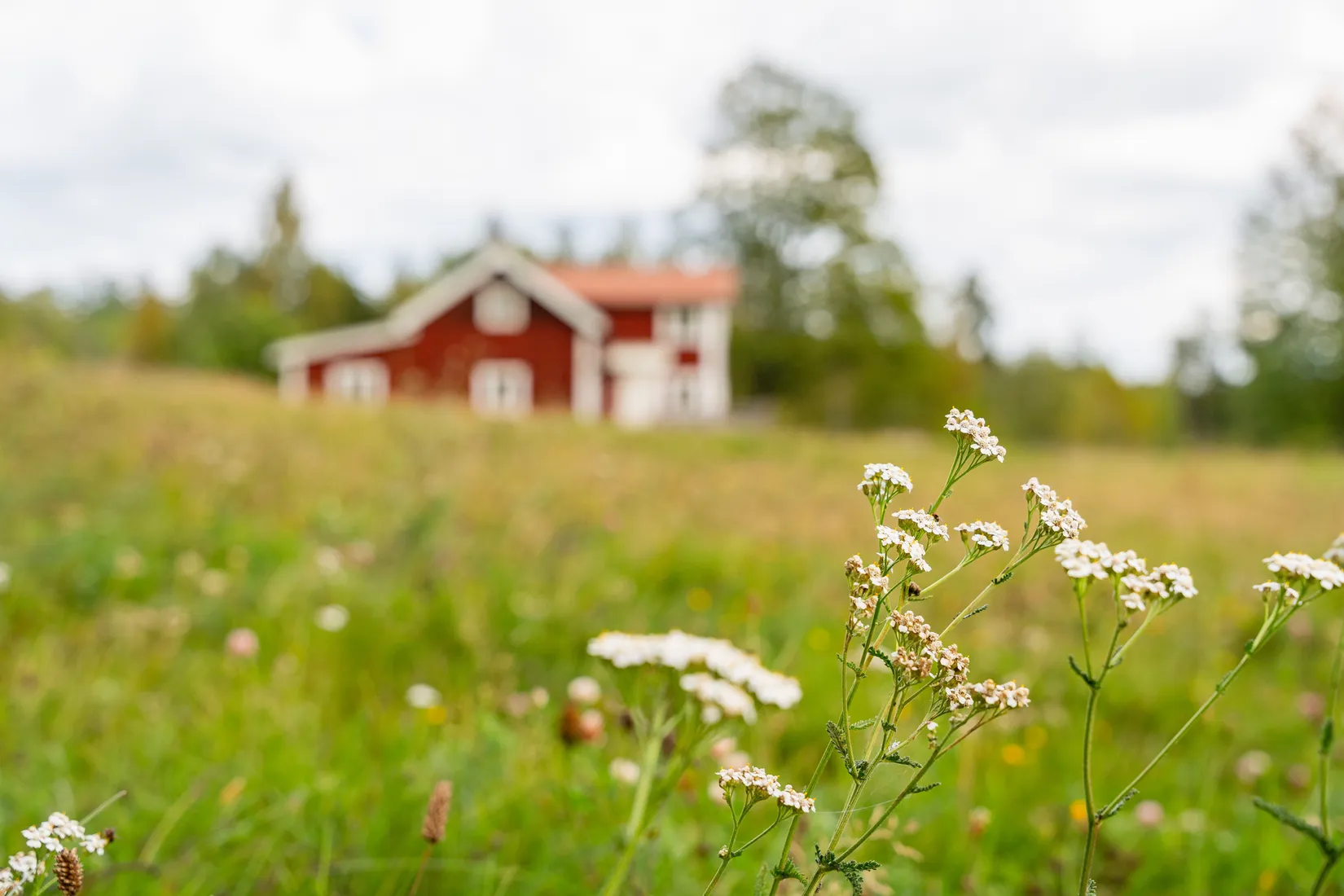Gård/Skog, Vrångsjö Änglund, Kvarsebo, Norrköping