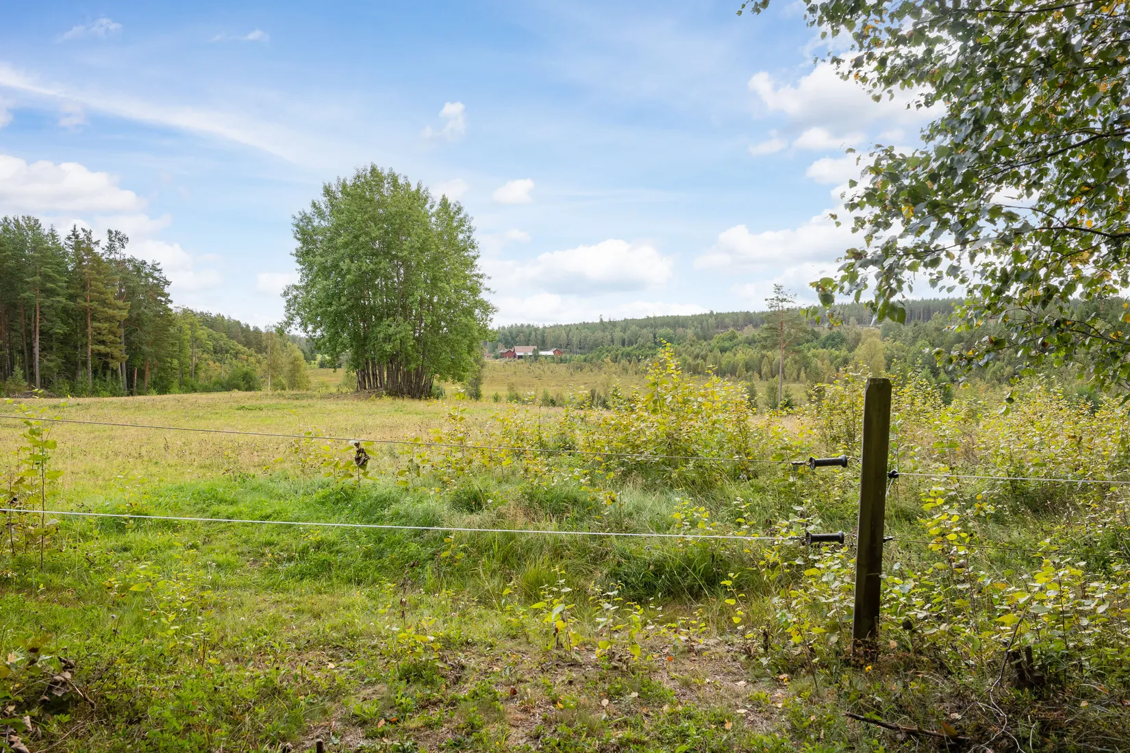 Gård/Skog, Vrångsjö Änglund, Kvarsebo, Norrköping