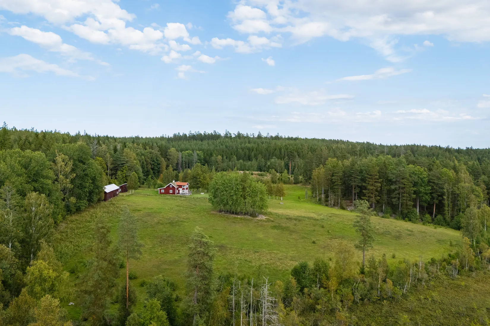 Gård/Skog, Vrångsjö Änglund, Kvarsebo, Norrköping
