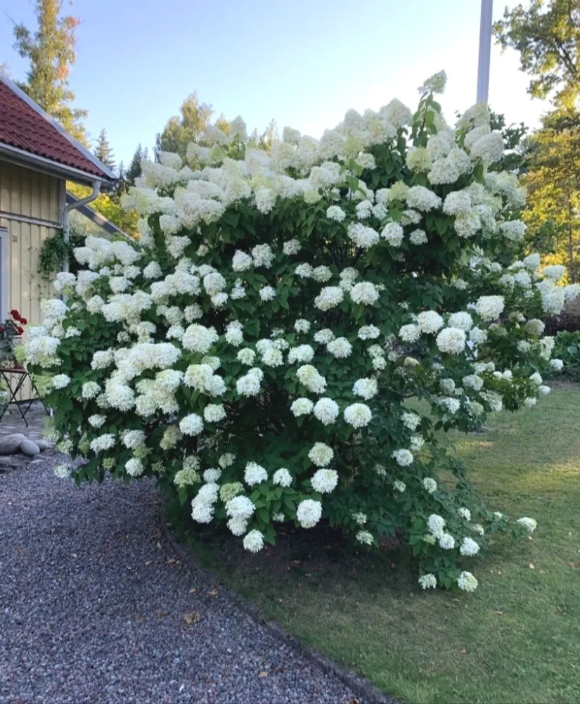 Villa, MALMSKOGSVÄGEN 12, Margretelund, Österåker