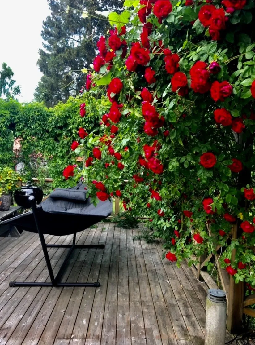 Villa, MALMSKOGSVÄGEN 12, Margretelund, Österåker