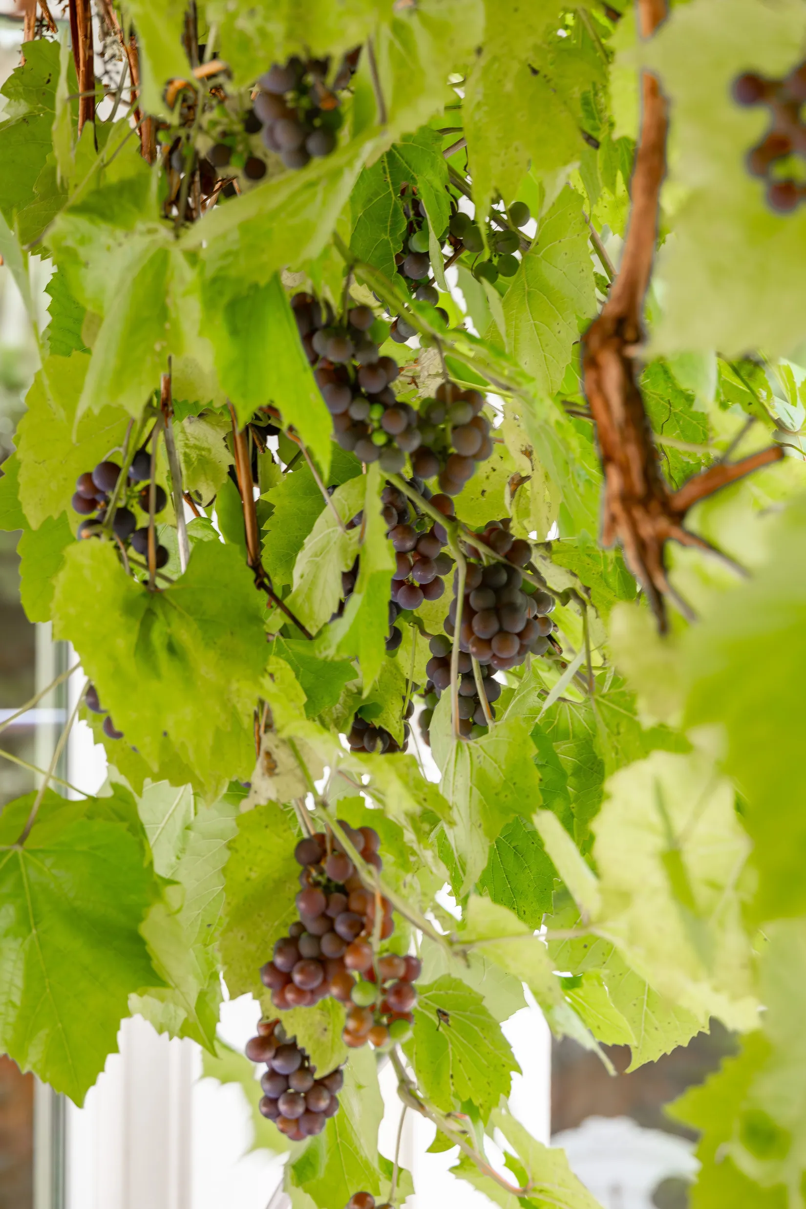 Villa, MALMSKOGSVÄGEN 12, Margretelund, Österåker