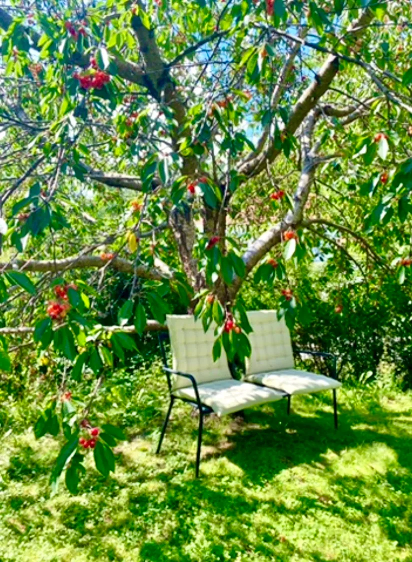 Villa, RÄNNILSVÄGEN 16, Grindmossen, Österåker