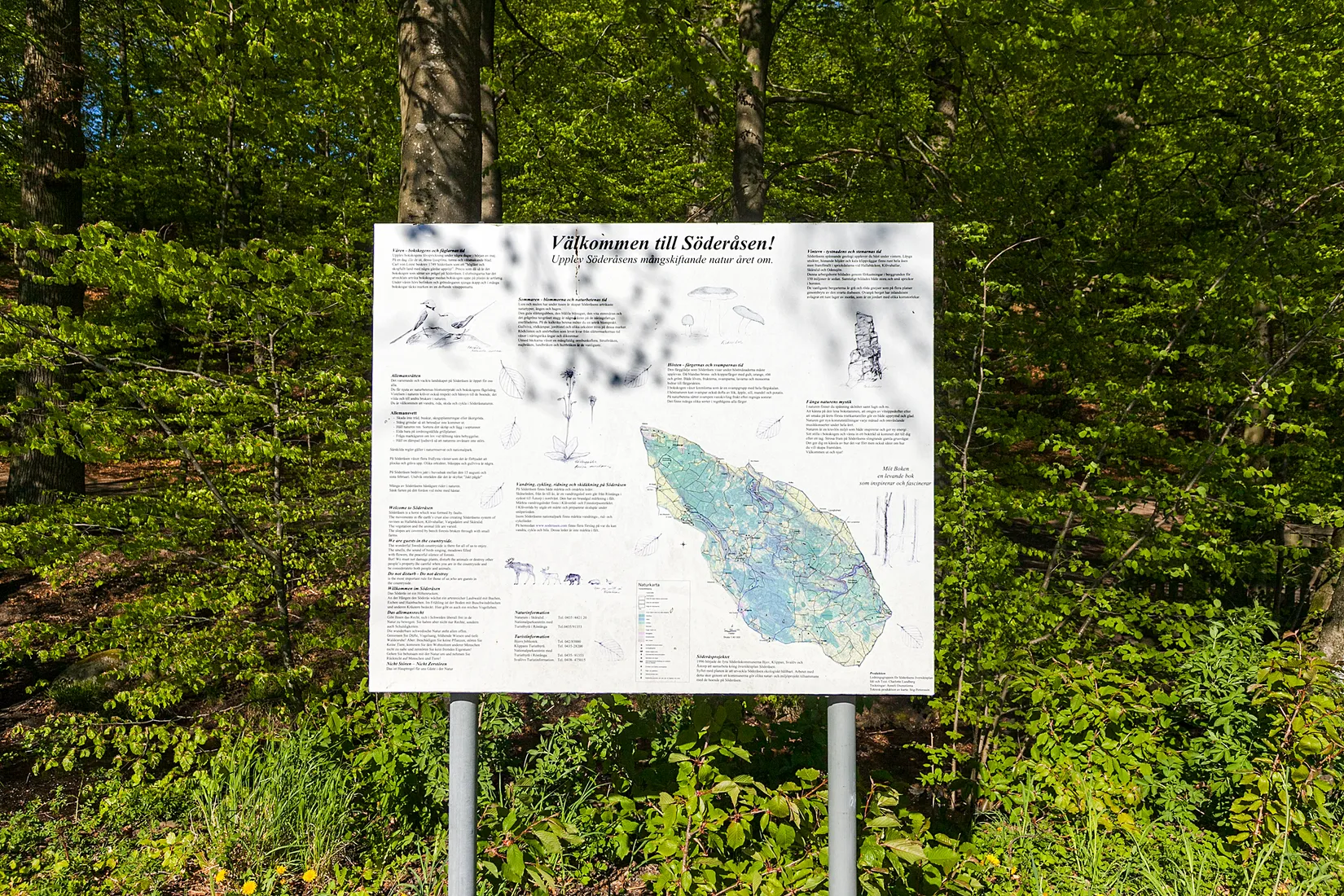 Bostadsrätt, Bjärshögsgatan 33, Åstorp