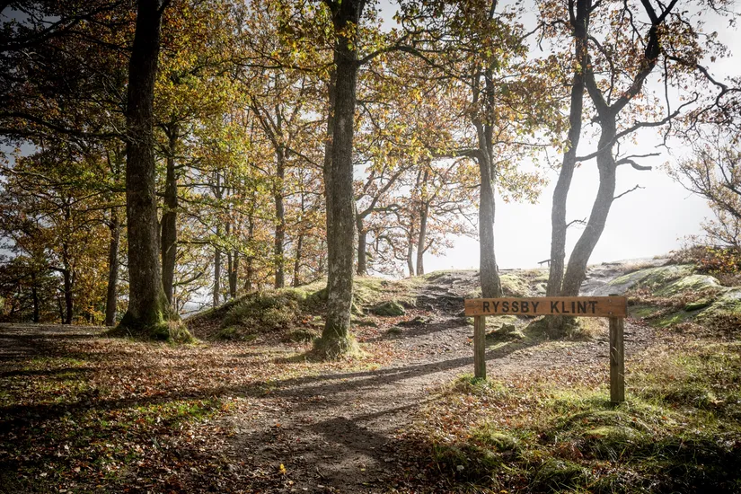 Bostadsrätt, Symfonigatan 33F, Hestra/Hestra Trädgårdsstad, Borås