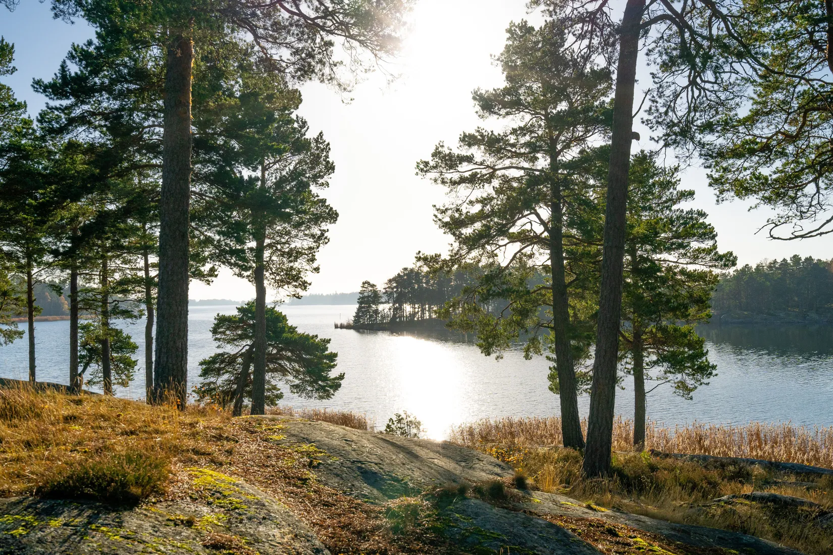 Radhus, Näsuddsvägen 39D, Danvik, Oxelösund