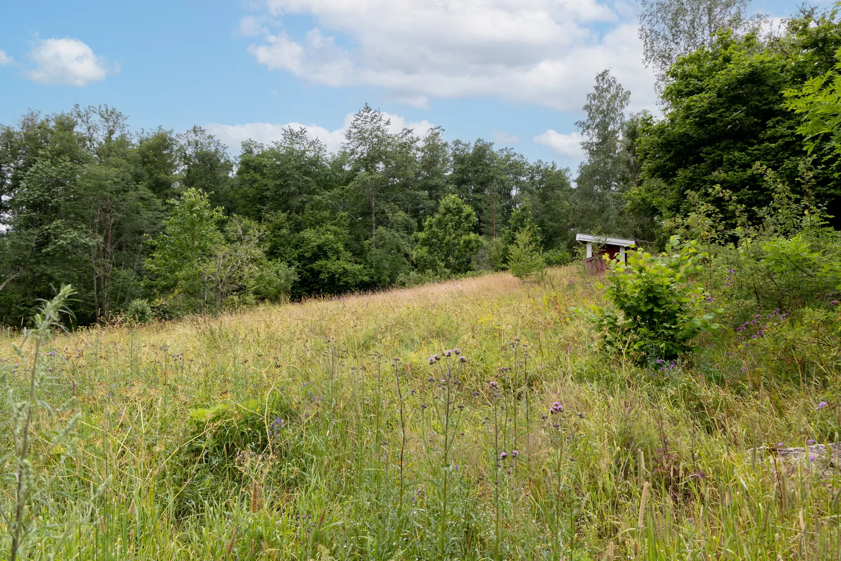 Gård/Skog, Åkerö Bäckefall, Mörlunda, Hultsfred