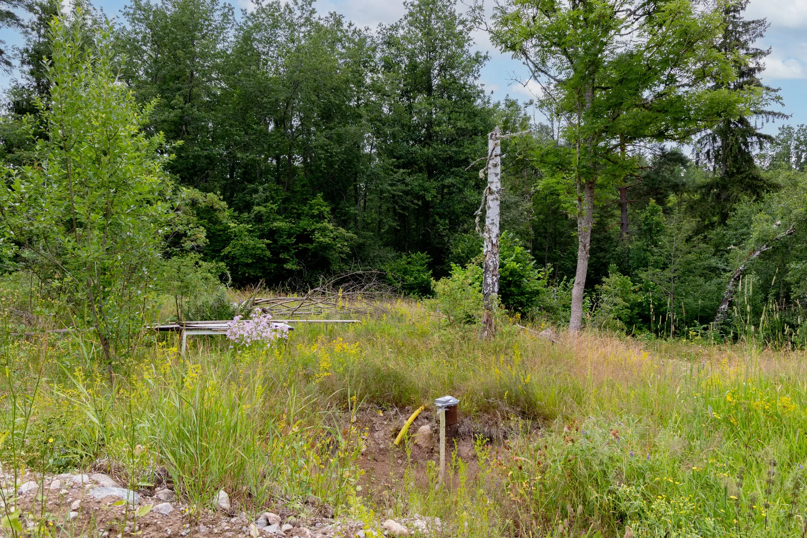Gård/Skog, Åkerö Bäckefall, Mörlunda, Hultsfred