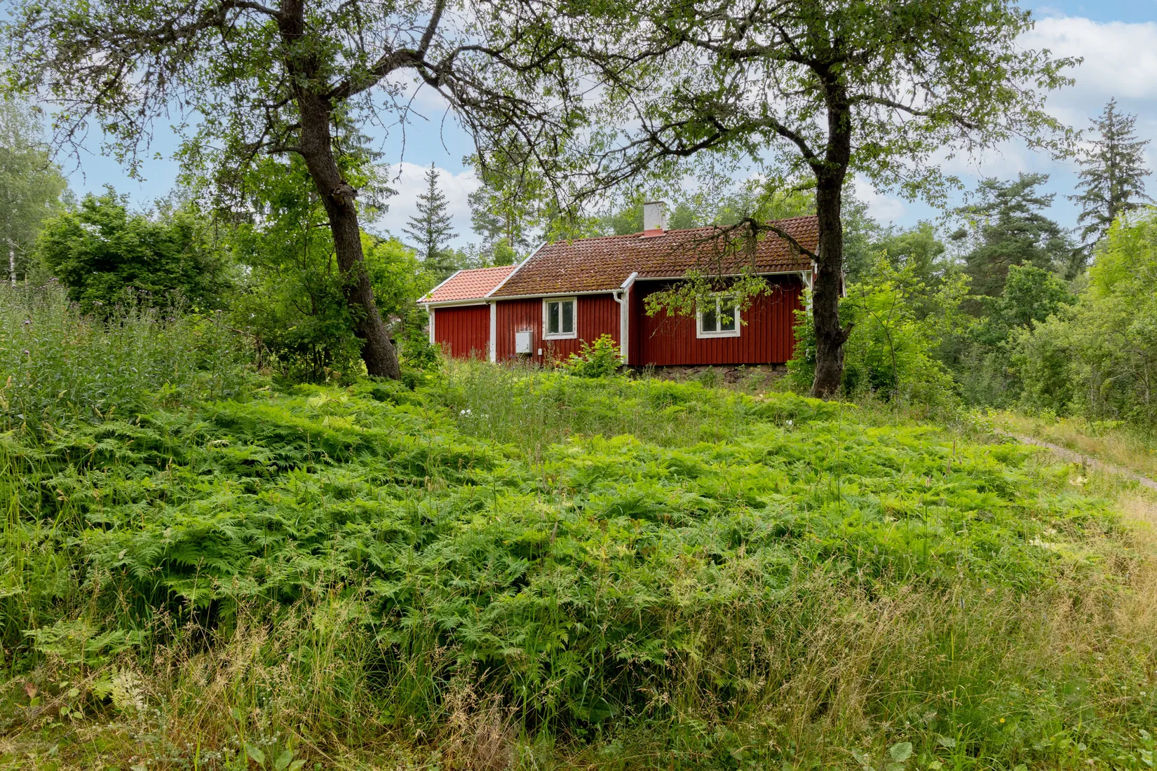 Gård/Skog, Åkerö Bäckefall, Mörlunda, Hultsfred