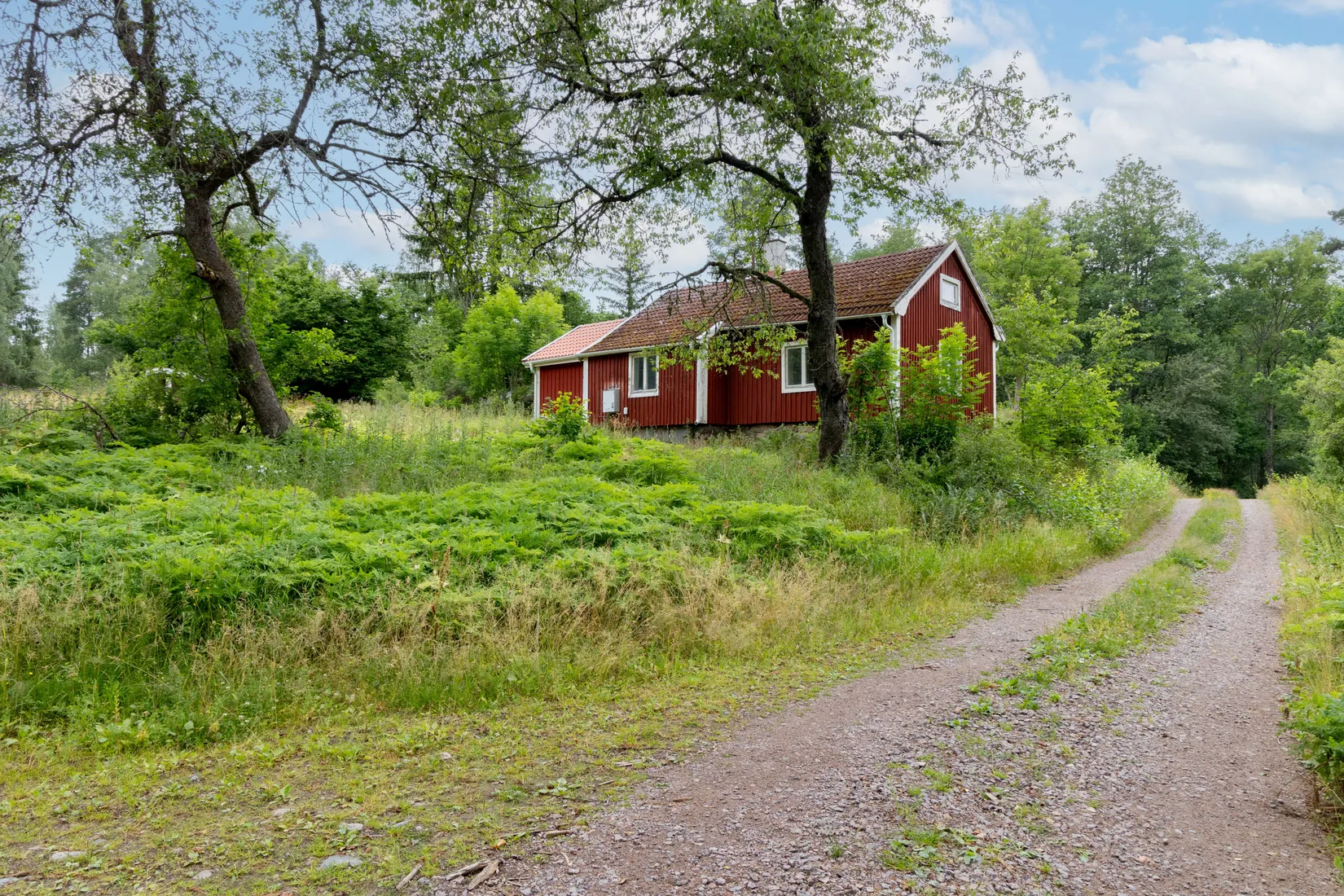 Gård/Skog, Åkerö Bäckefall, Mörlunda, Hultsfred