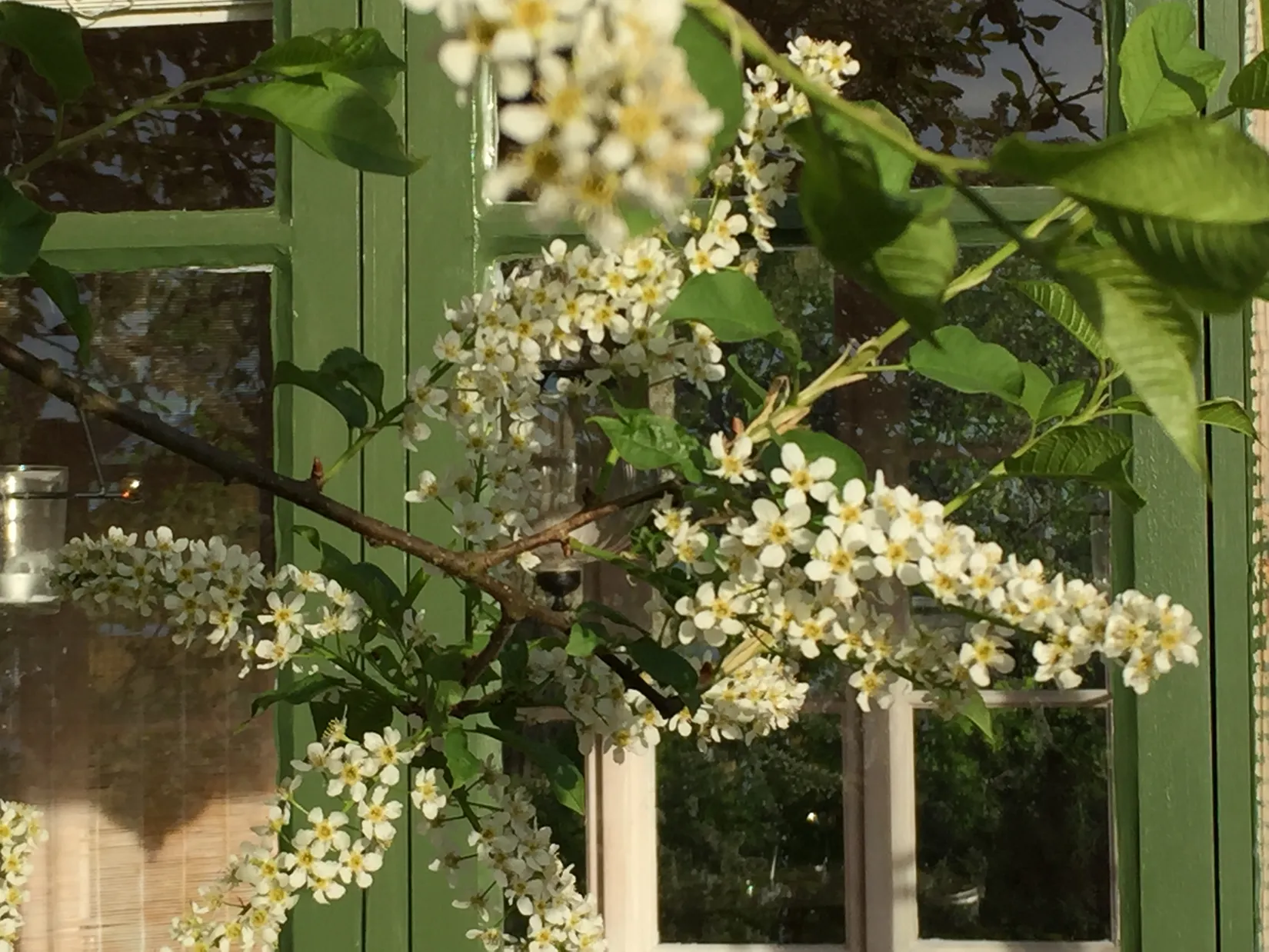 Villa, Rönnbärsgatan 6, Fanna, Enköping