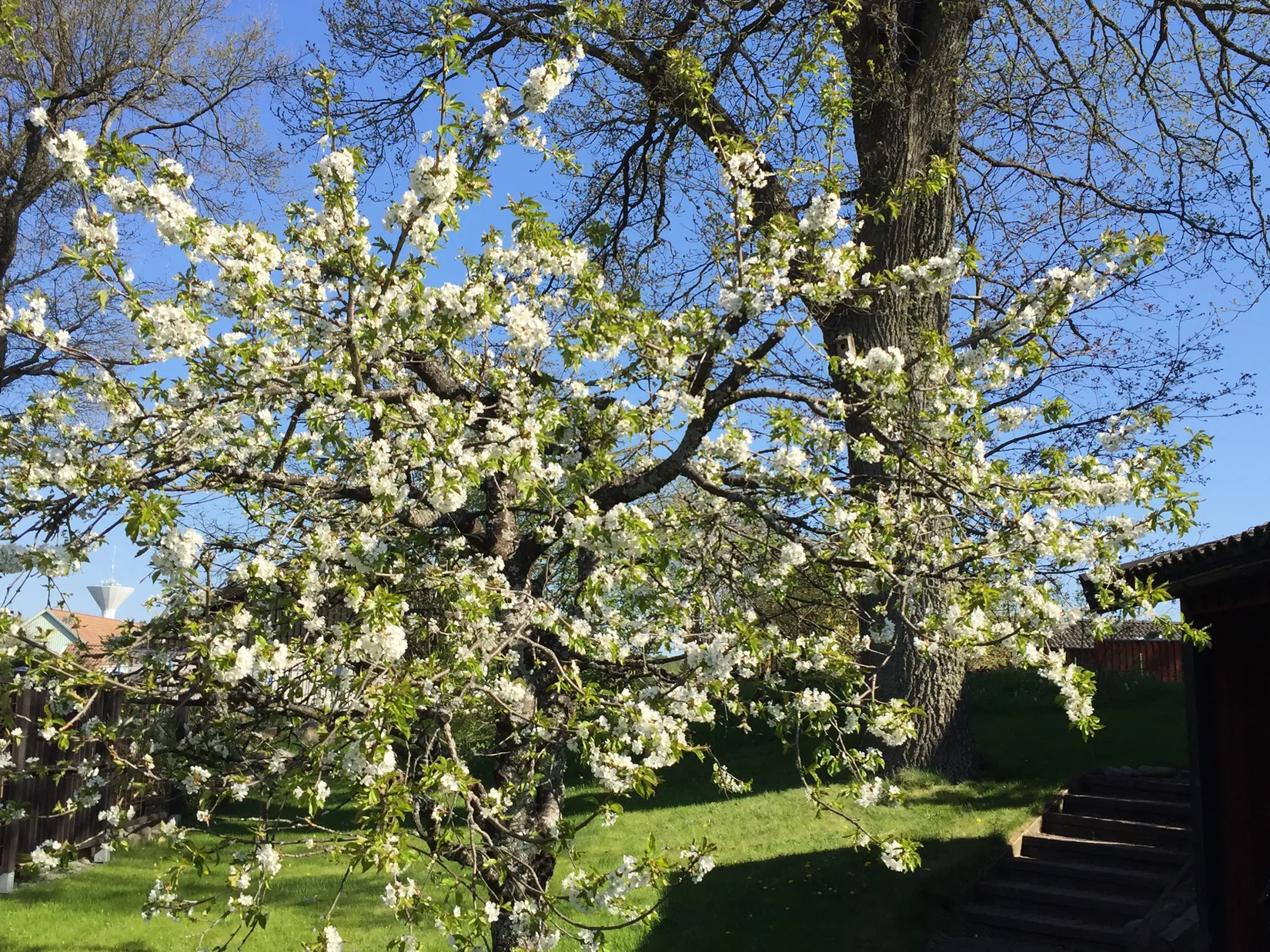 Villa, Rönnbärsgatan 6, Fanna, Enköping