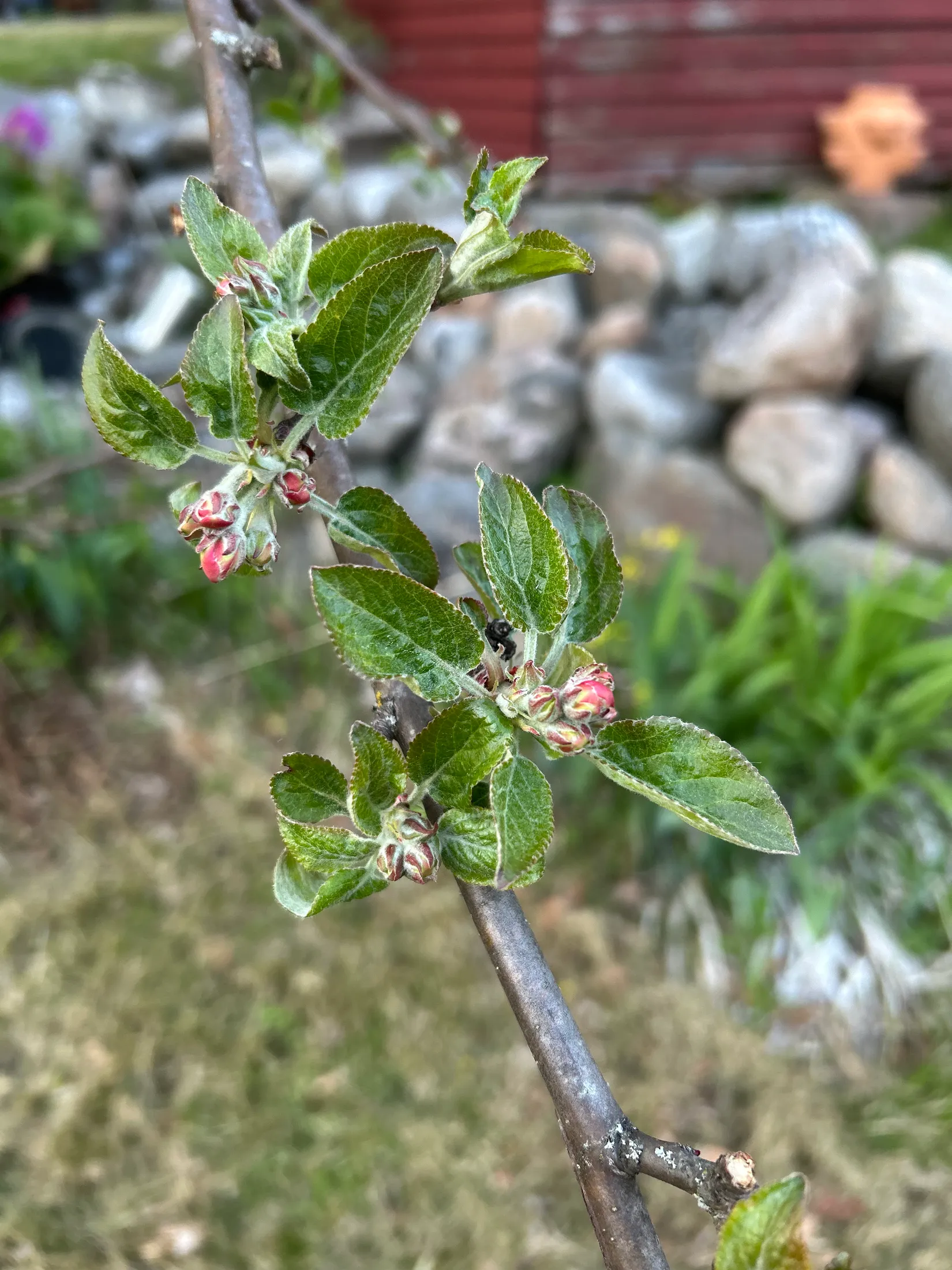 Fritidshus, Bodviksvägen 104, Bensbyn, Luleå