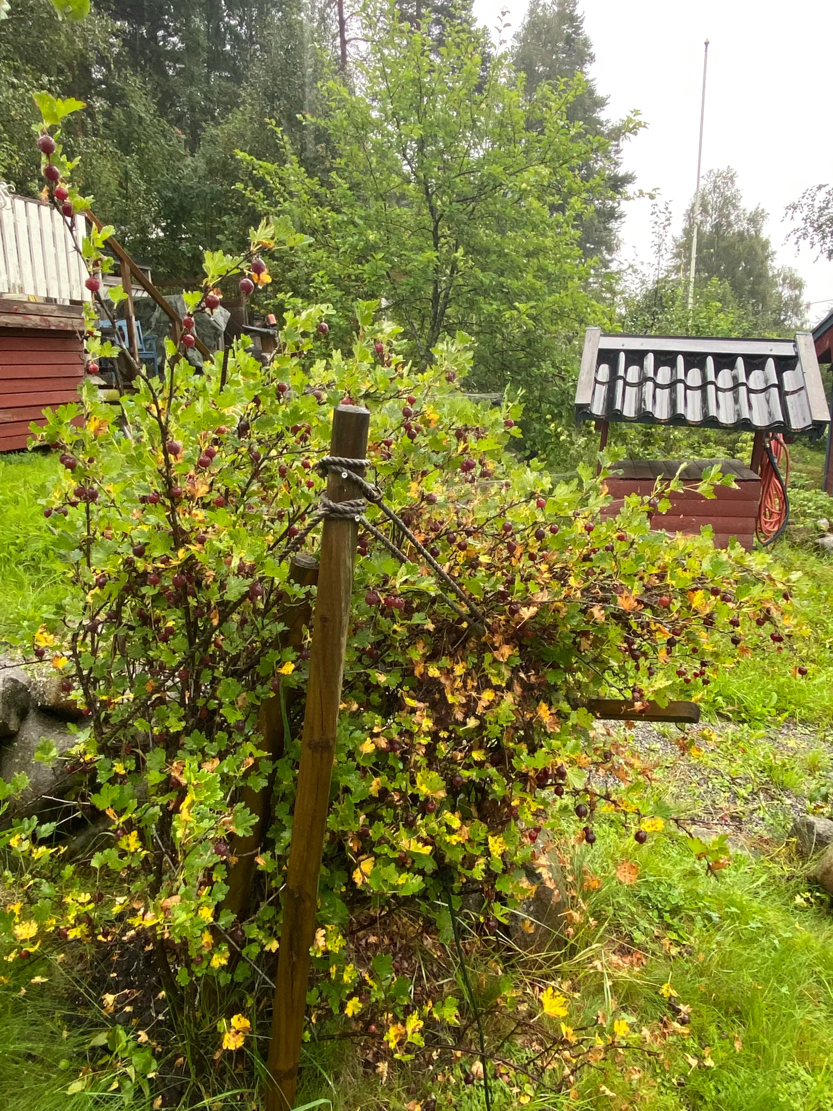 Fritidshus, Bodviksvägen 104, Bensbyn, Luleå