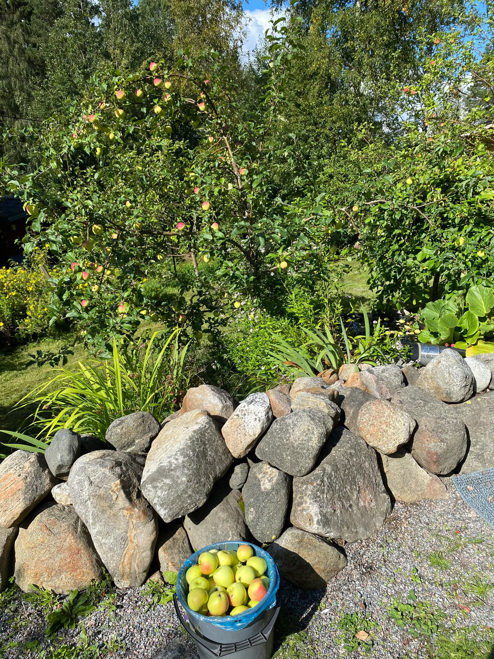 Fritidshus, Bodviksvägen 104, Bensbyn, Luleå