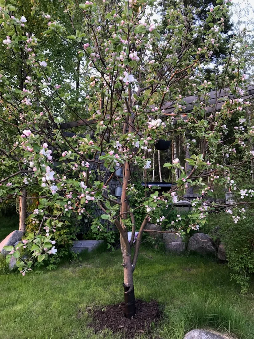 Fritidshus, Bodviksvägen 104, Bensbyn, Luleå