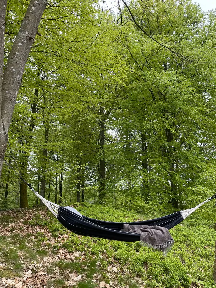 Fritidshus, Skogsvägen 17, Bosarpasjön  - Ankhult, Hässleholm