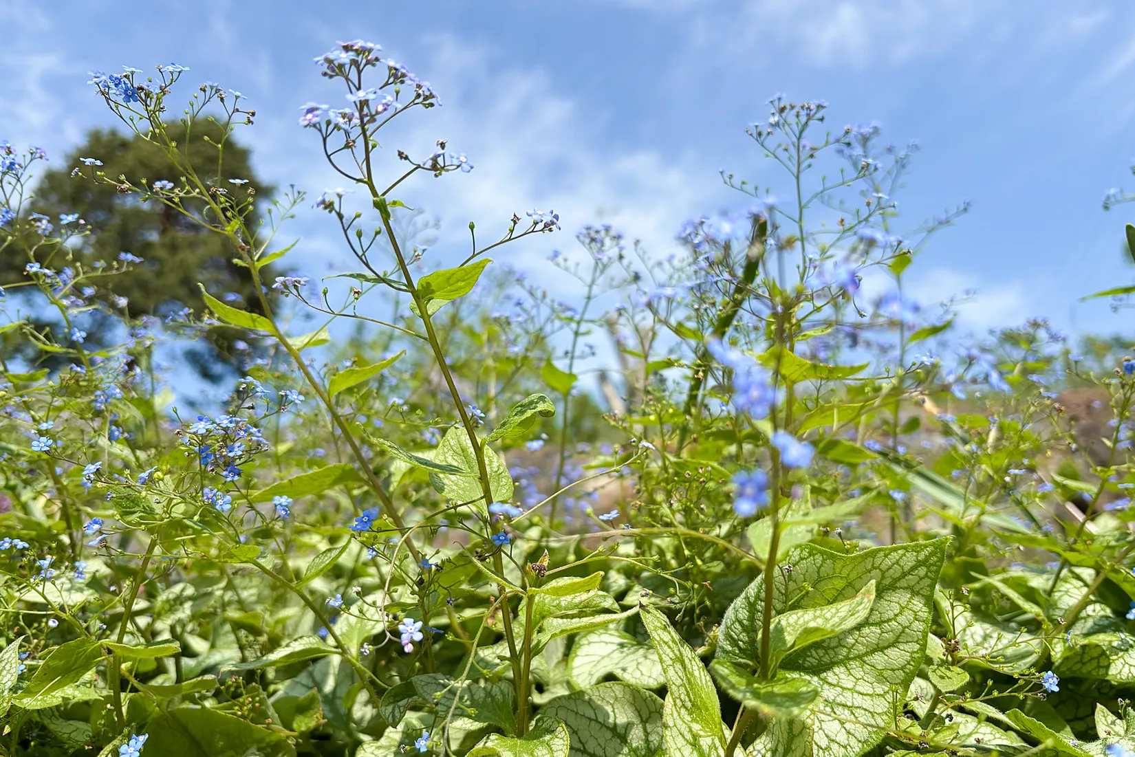 Villa, Gnejsvägen 43, Snättringe, Huddinge
