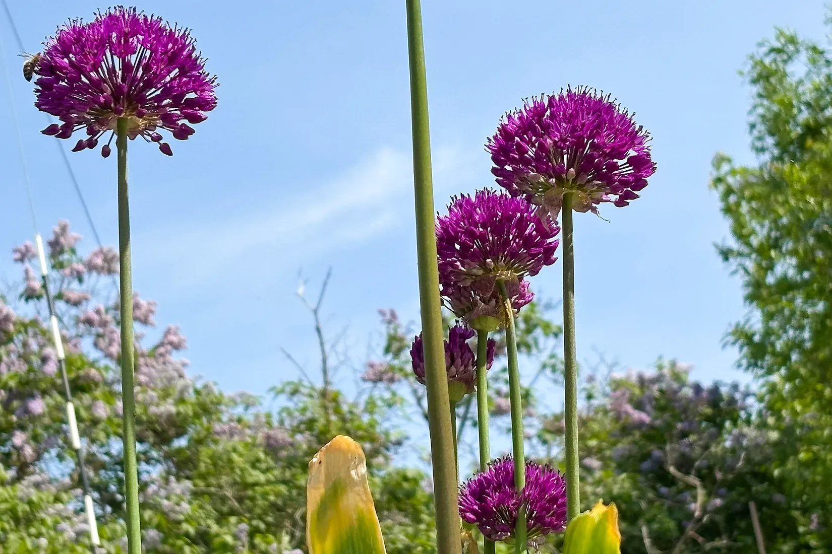 Villa, Gnejsvägen 43, Snättringe, Huddinge