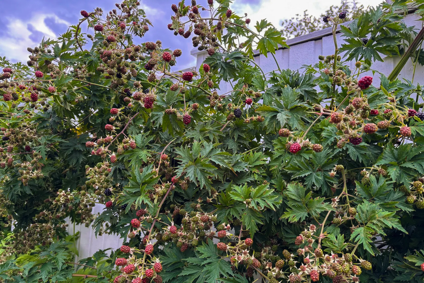 Villa, Gnejsvägen 43, Snättringe, Huddinge