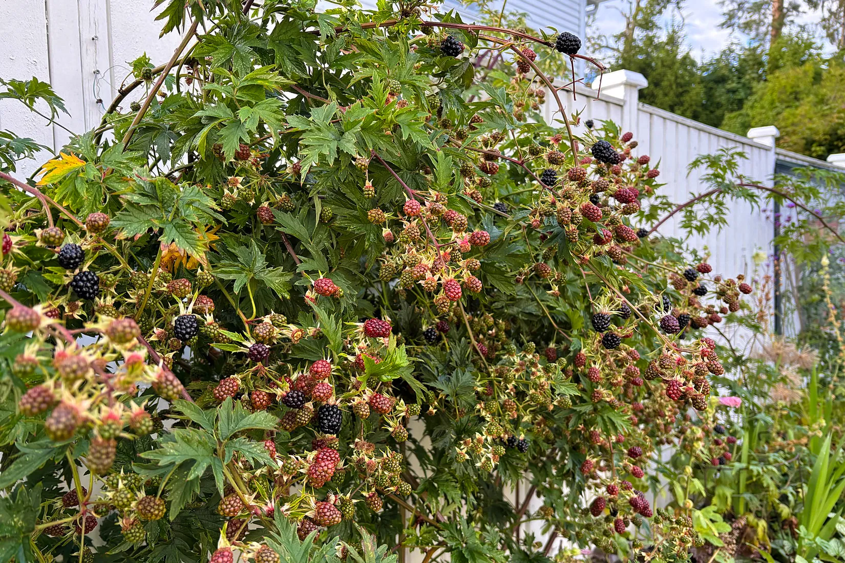 Villa, Gnejsvägen 43, Snättringe, Huddinge