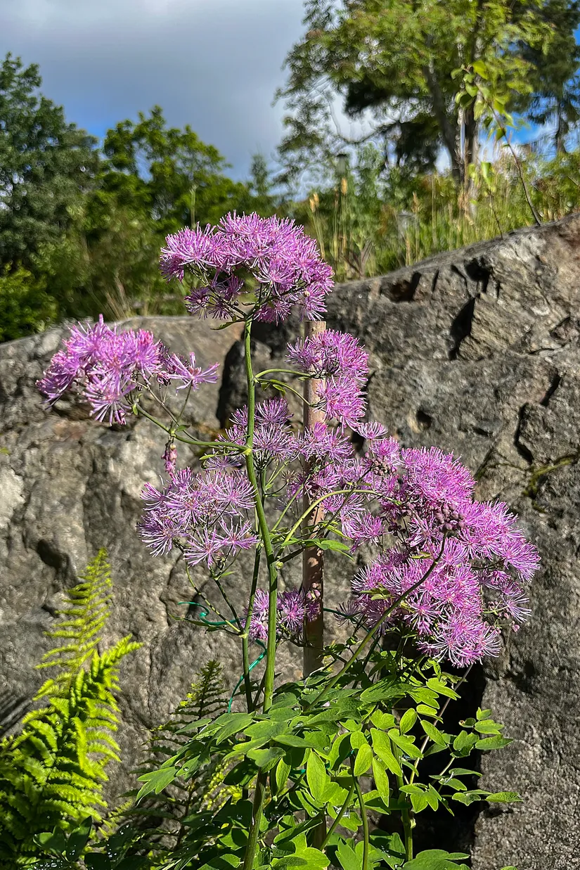 Villa, Gnejsvägen 43, Snättringe, Huddinge