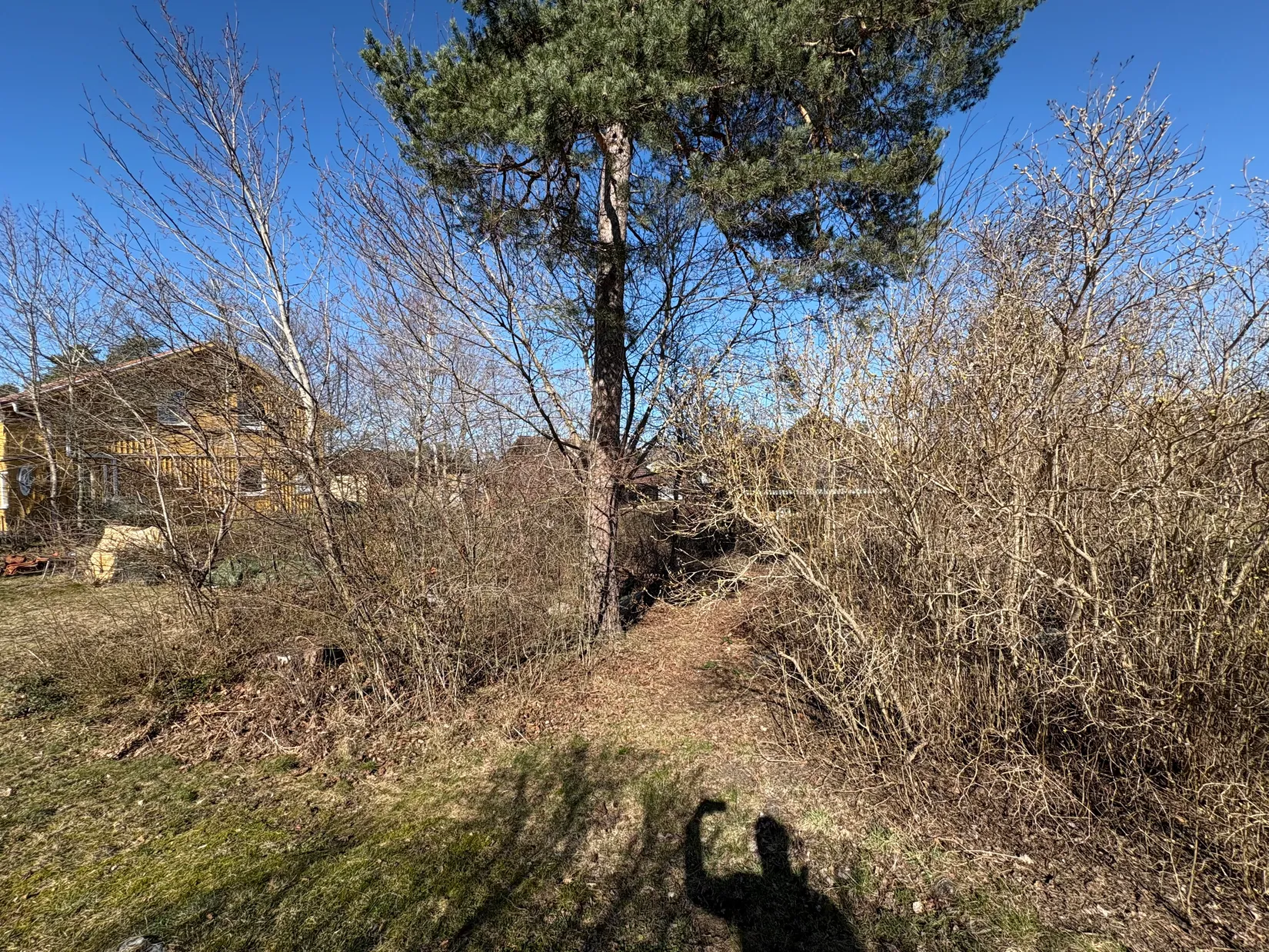 Tomt, Timmermansvägen 14A, Bo, Lidingö