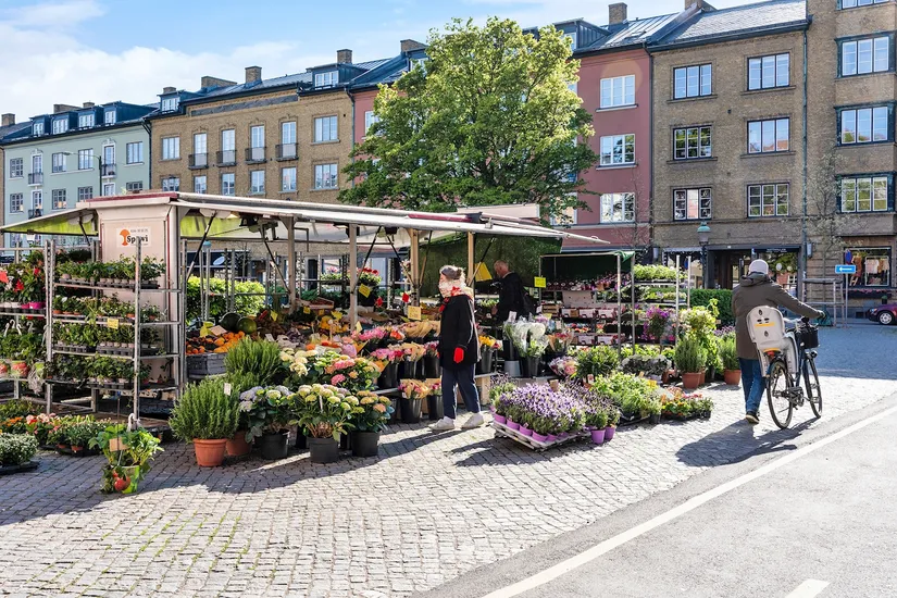 Bostadsrätt, Storgatan 43H, Davidshall, Malmö