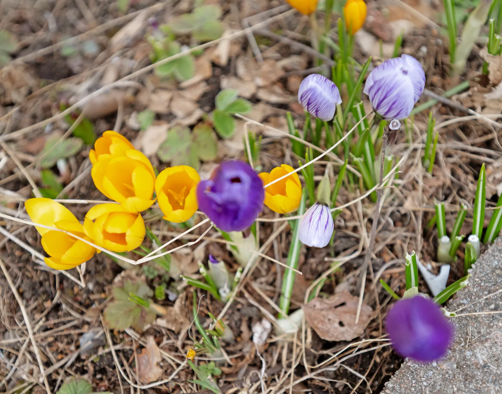 Radhus, Romansvägen 32, Drevviksstrand, Huddinge