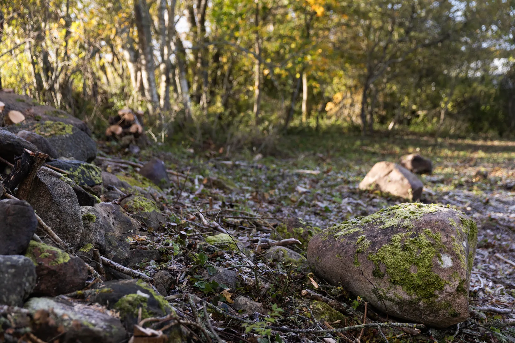 Tomt, Fröjel Mulde 301, Fröjel, Gotland