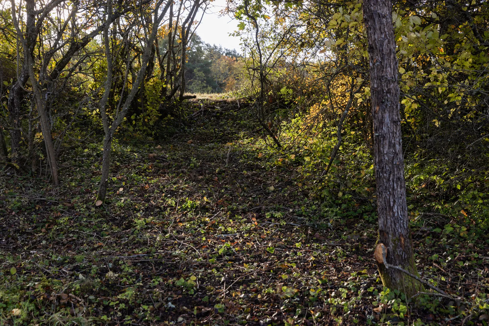 Tomt, Fröjel Mulde 301, Fröjel, Gotland