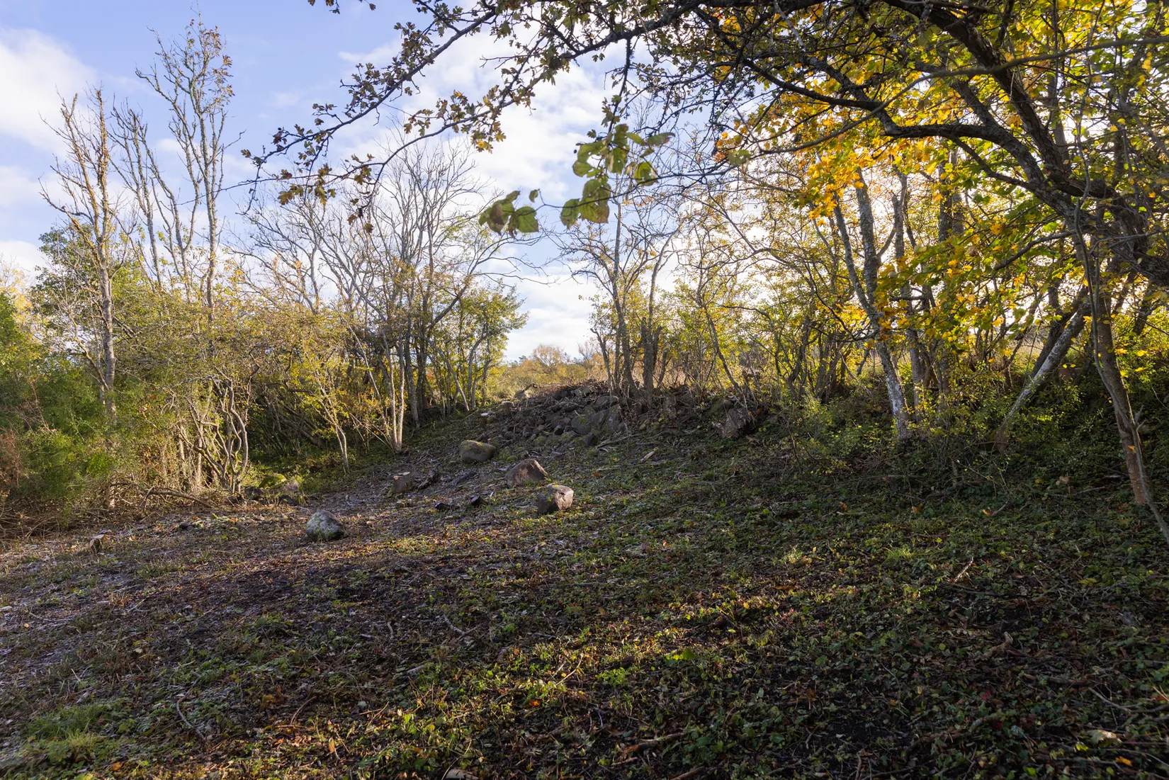 Tomt, Fröjel Mulde 301, Fröjel, Gotland