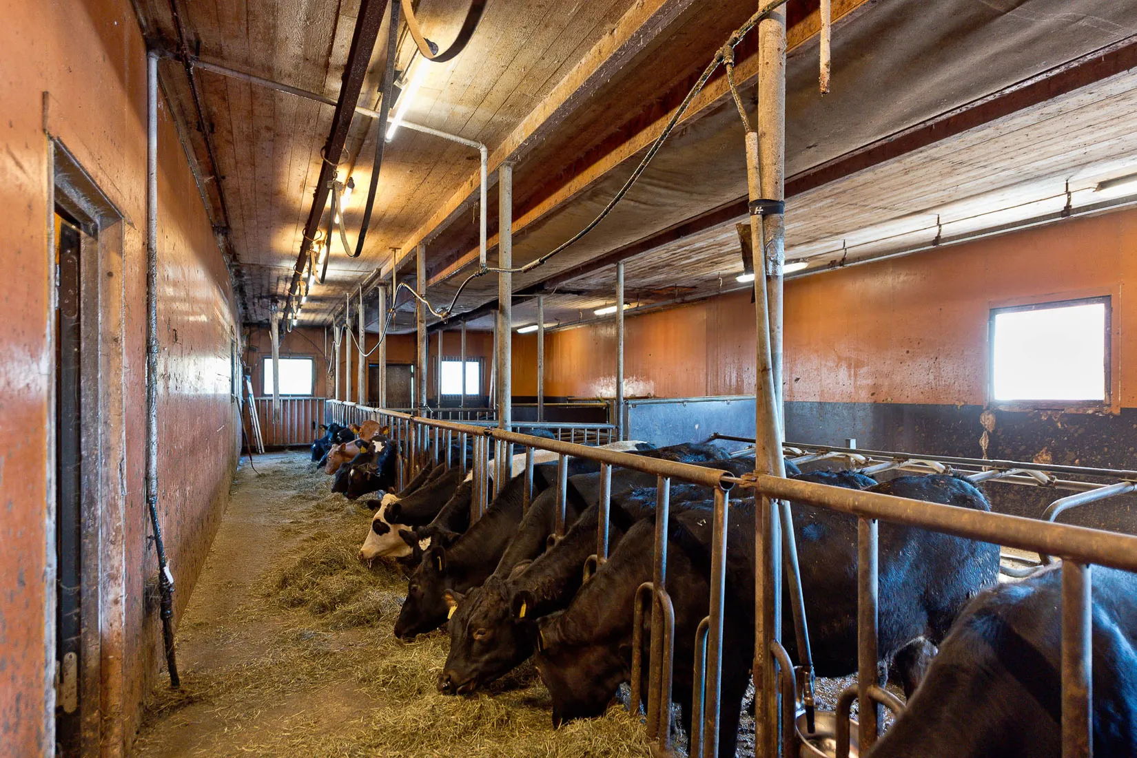 Gård/Skog, Flarkvägen 35, Ånäset, Robertsfors