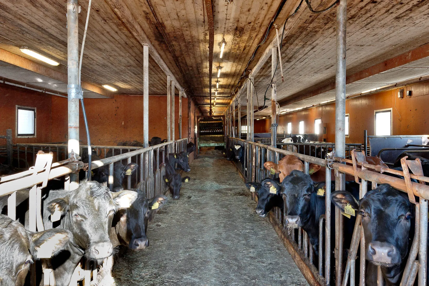 Gård/Skog, Flarkvägen 35, Ånäset, Robertsfors