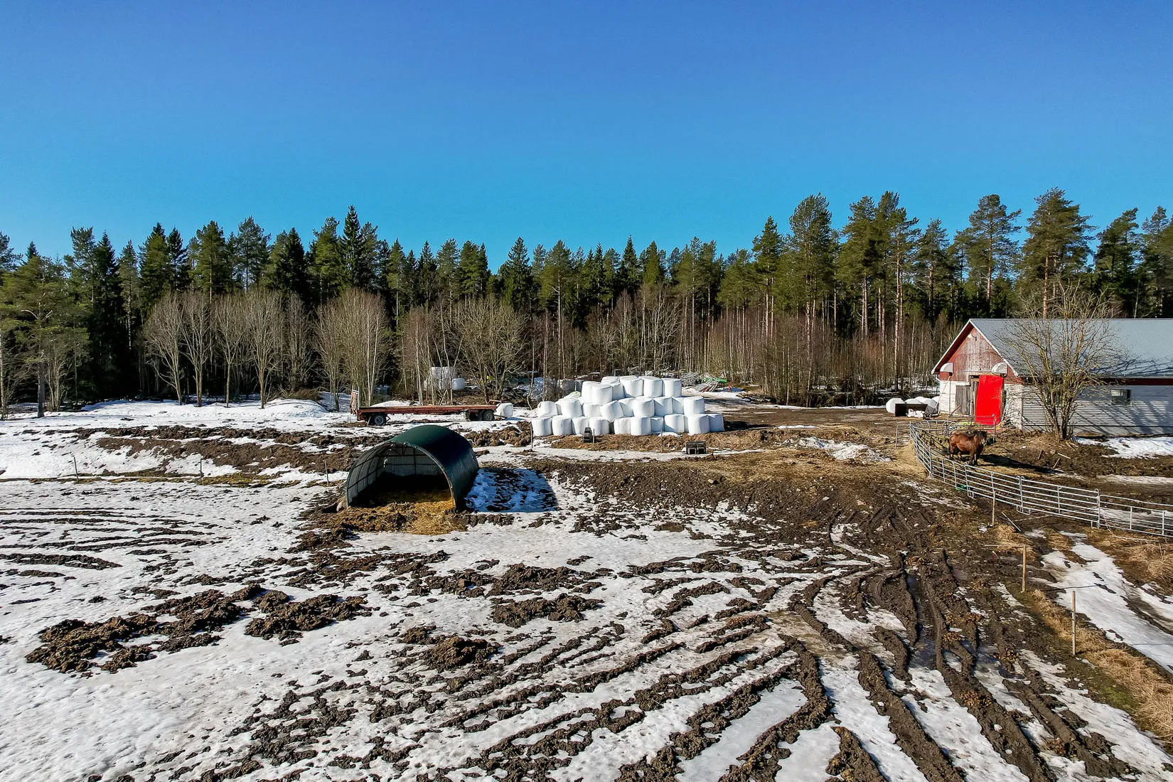 Gård/Skog, Flarkvägen 35, Ånäset, Robertsfors