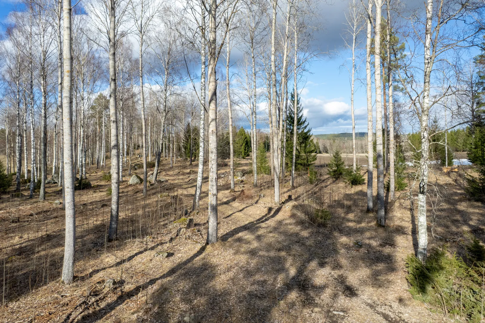 Tomt, Bångvägen 10, Forsa-Trogsta, Hudiksvall