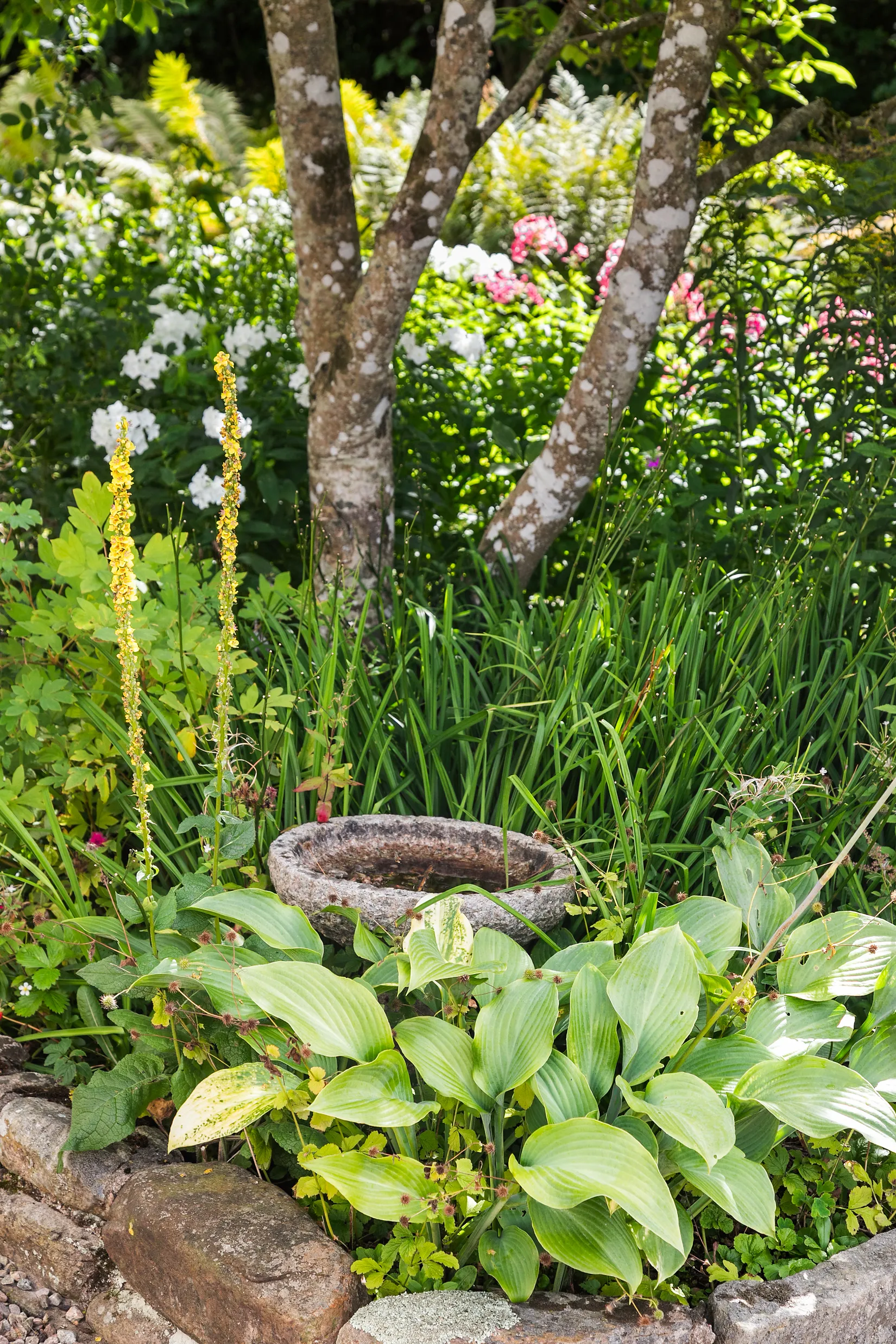 Villa, Trönninge byväg 11, Trönninge, Varberg