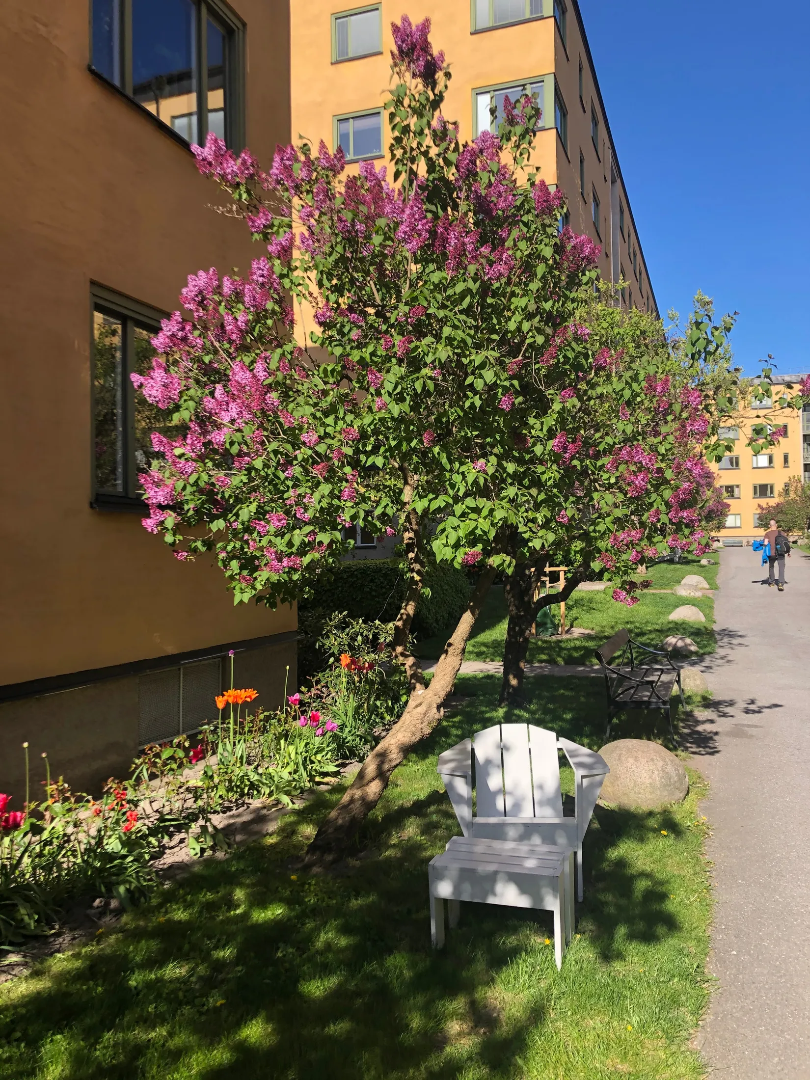 Bostadsrätt, Lundagatan 44a, Södermalm Högalid, Stockholm