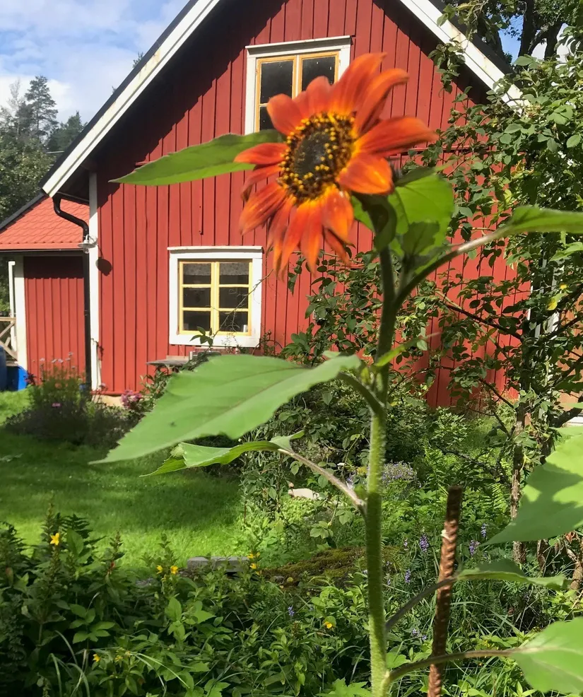 Villa, Fälvi 5, Fälvi, Västerås