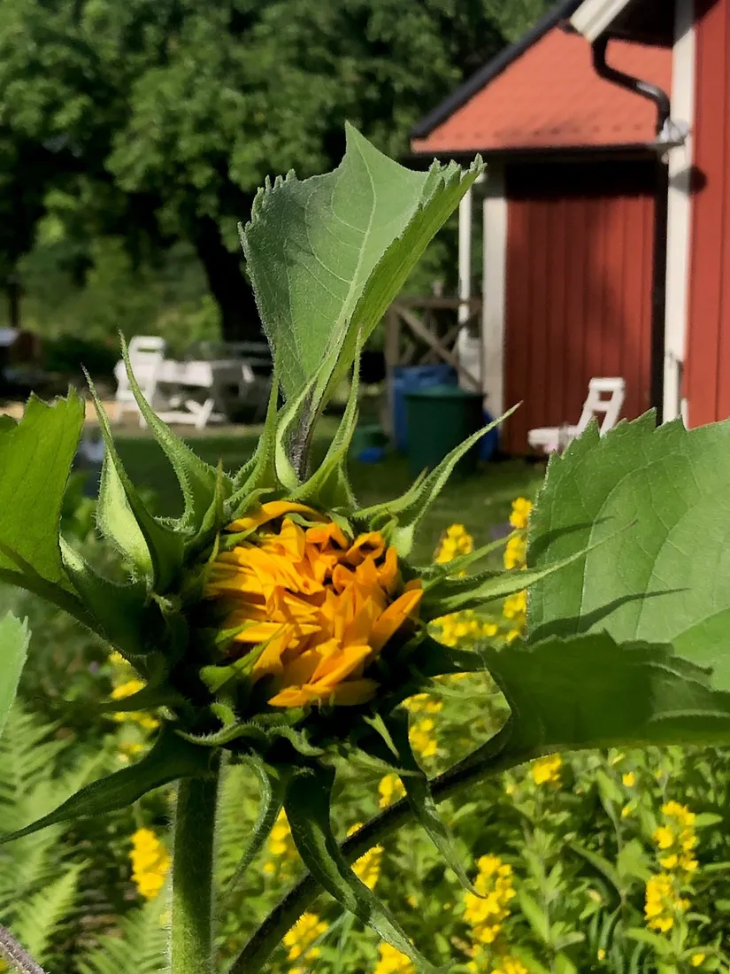 Villa, Fälvi 5, Fälvi, Västerås