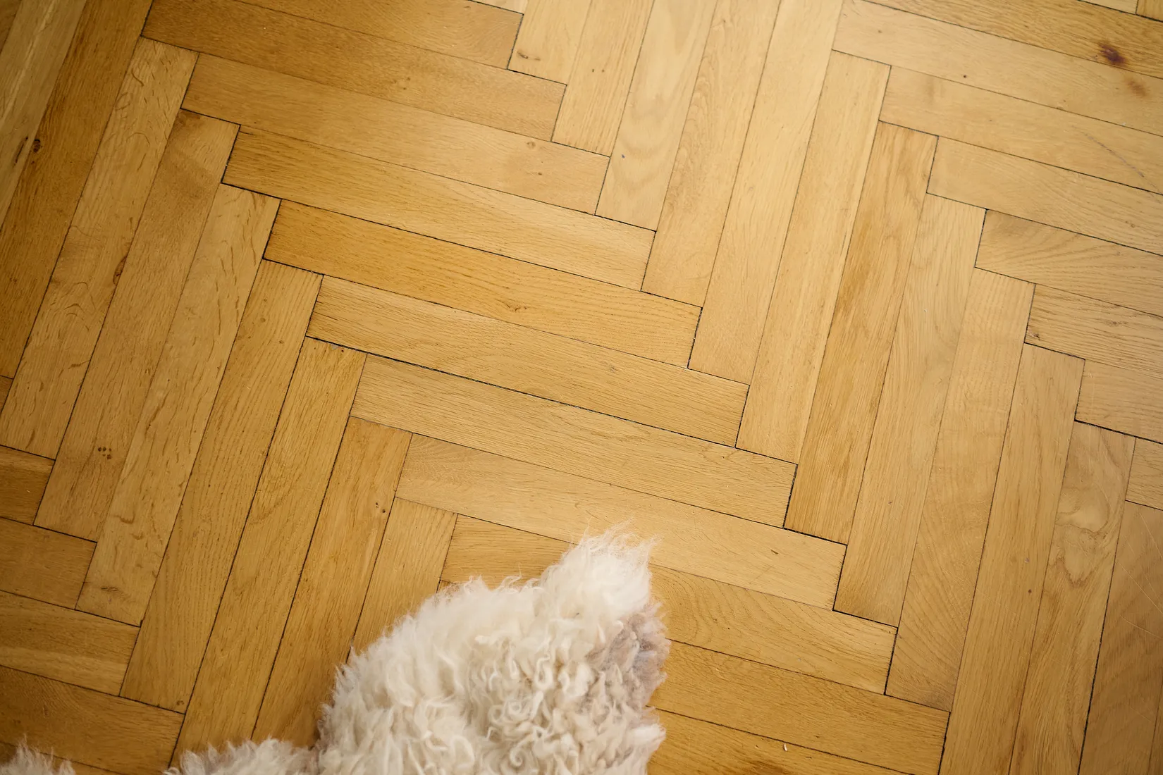 Bostadsrätt, Tavastgatan 15, Södermalm Maria, Stockholm