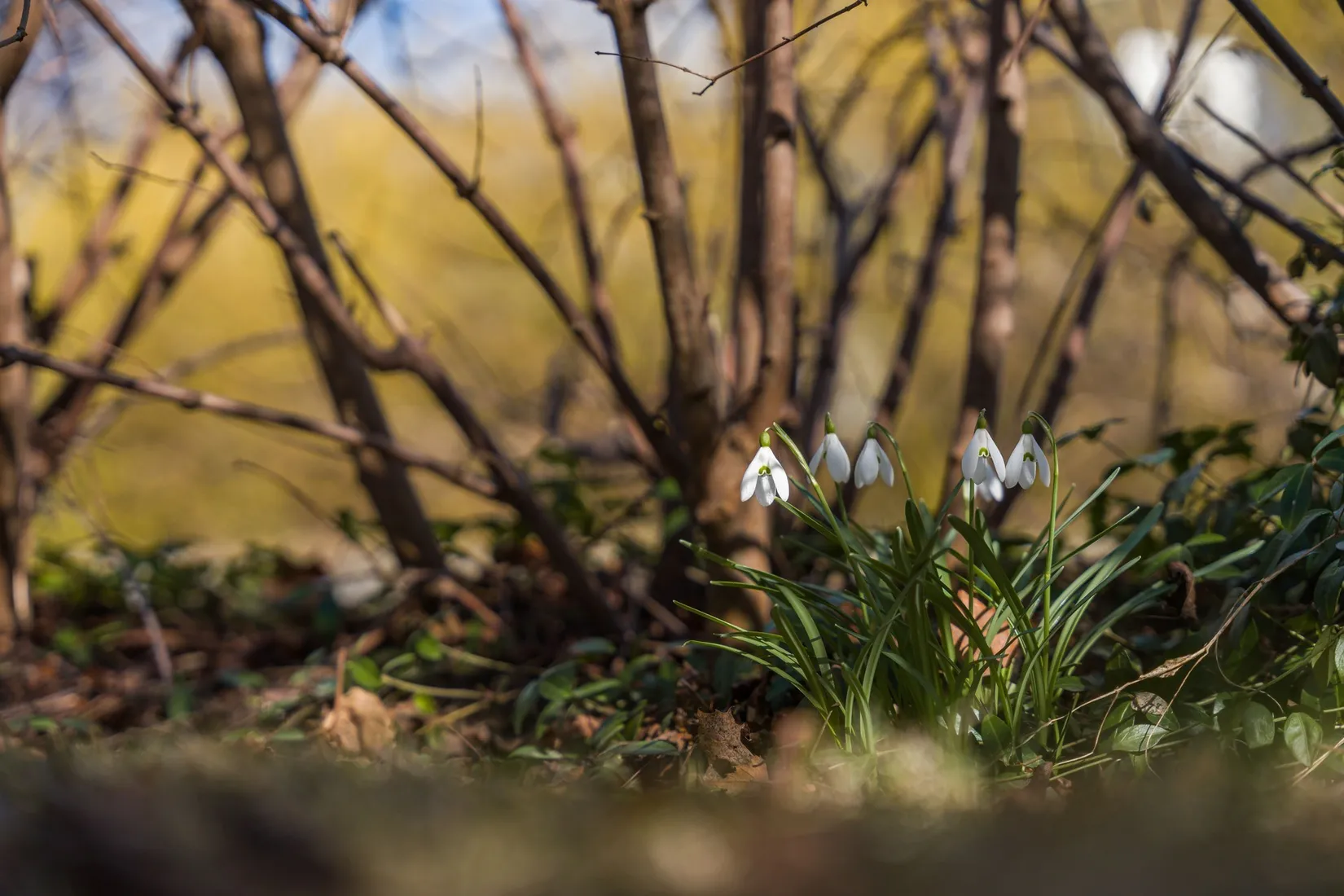 Bostadsrätt, Lundhagsvägen 152, Hovsta, Örebro