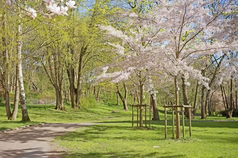 Bostadsrätt, Gräddgatan 10, Kallebäck, Göteborg